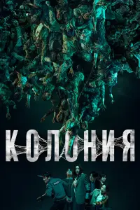Колония